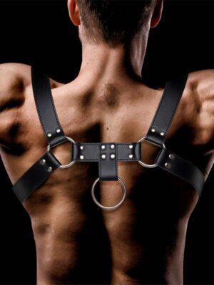 Arnes Pecho Cuero Vegano