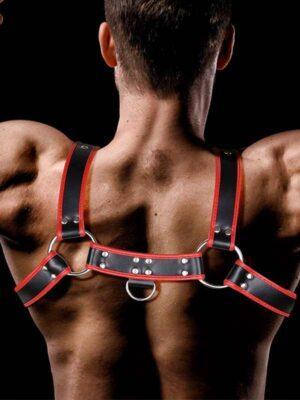 Arnes Pecho Cuero Vegano