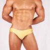 banador-slip-basic-oro-1-1-1-jpg