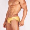 banador-slip-basic-oro-3-1-1-jpg