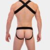 harness-barcode-berlin-romeo-3-jpg
