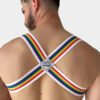 pride-harness-blanco-3-1-jpg