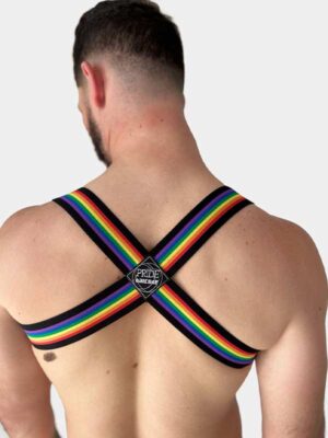 pride-harness-negro-3-1-jpg