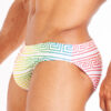 Bañador slip con relleno delantero Rainbow Greek