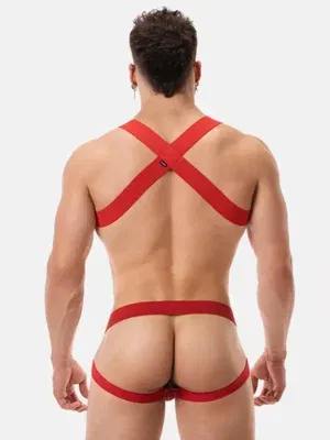 Pack Arnés Elastico Barcode Berlin + Suspensorio Anton Rojo