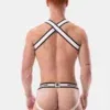 Pack Arnes + Jock Barcode Berlin Bottom