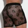 Short Code 22 Lace de encaje transparente