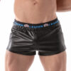 Short Leader ID Fetish Pup