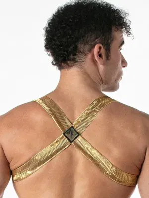 Arnes Dorado Leader Metallic Black Gold