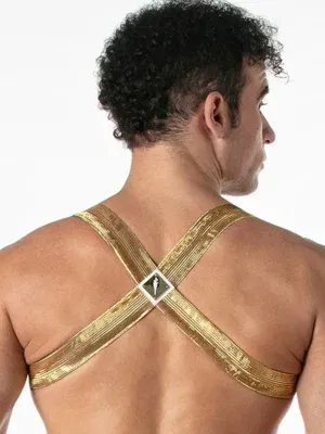 Arnes Dorado Leader Metallic Black Gold
