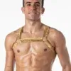Arnes Dorado Leader Metallic Black Gold