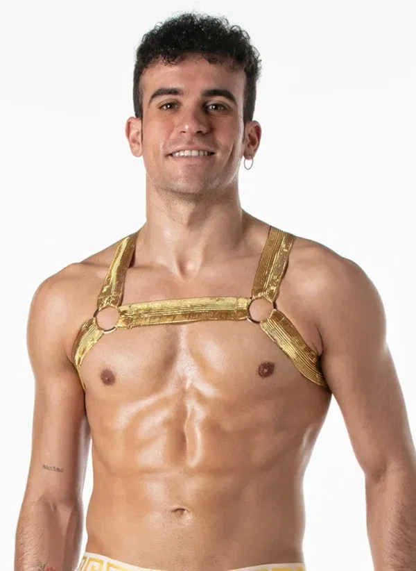 Arnes Dorado Leader Metallic Black Gold
