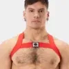Arnes LEonsh Rojo