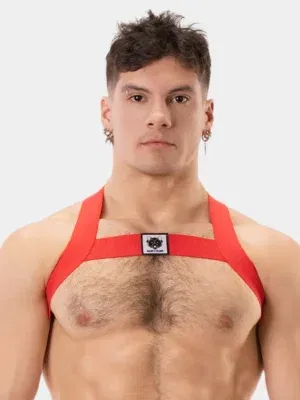 Arnes LEonsh Rojo