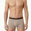 Bóxer hombre Emporio Armani arena/taupe, cintura chocolate con etiqueta águila centrada, vista frontal.