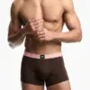 Bóxer hombre Emporio Armani chocolate, cintura rosa con etiqueta águila centrada, vista frontal.