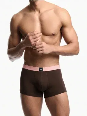Bóxer hombre Emporio Armani chocolate, cintura rosa con etiqueta águila centrada, vista frontal.