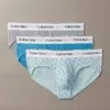 Pack de 3 calzoncillos tipo slip Calvin Klein Icon Cotton Stretch en azul cian, gris neblina y blanco estampado.
