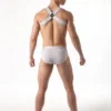 Vista trasera del Pack Slip y Arnés Leader Essentials Gris con espalda en X y trasera cerrada