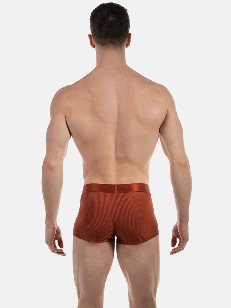 Vista trasera del boxer óxido Stellan de Barcode Berlin con pernera corta