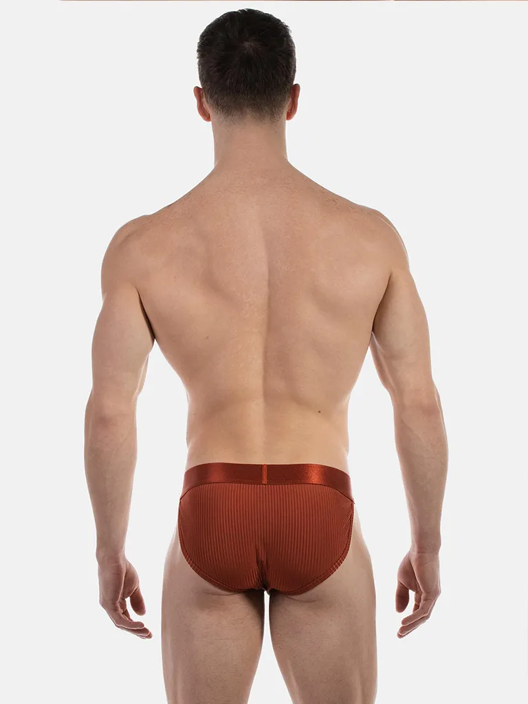 Vista trasera del slip bikini óxido Viggo de Barcode Berlin