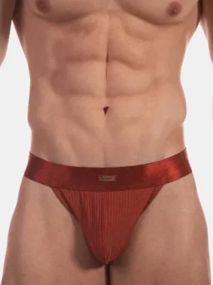 Detalle frontal del slip bikini óxido Viggo de Barcode Berlin con cinturilla y placa metálica