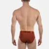 Vista trasera del slip óxido Caspian de Barcode Berlin con cobertura completa