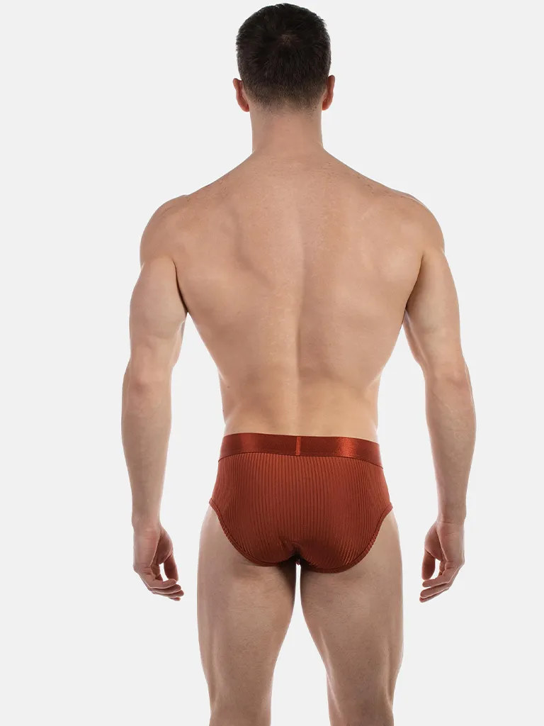 Vista trasera del slip óxido Caspian de Barcode Berlin con cobertura completa